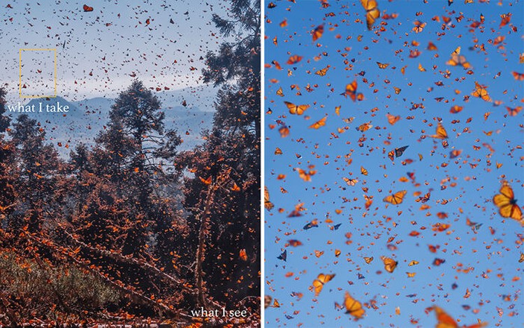 Foto What I See Vs. What I Take