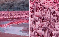 Foto What I See Vs. What I Take