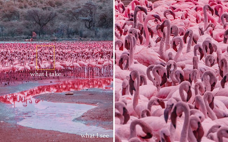 Foto What I See Vs. What I Take