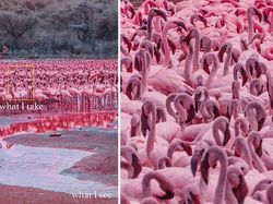 What I See Vs What I Take: Foto Keren Tunjukkan Mata Fotografer