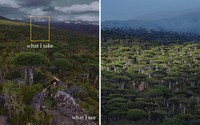 Foto What I See Vs. What I Take