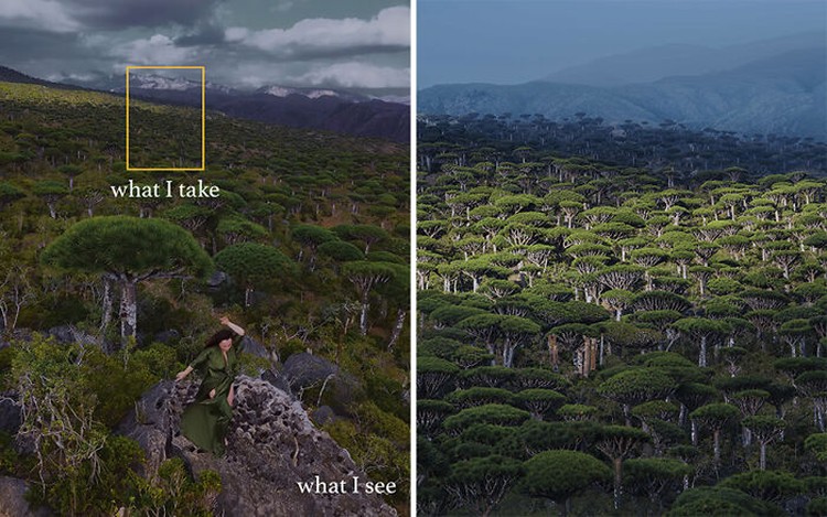 Foto What I See Vs. What I Take
