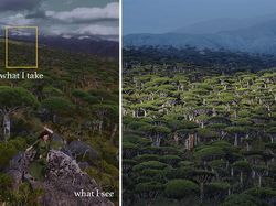 What I See Vs What I Take: Foto Keren Tunjukkan Mata Fotografer