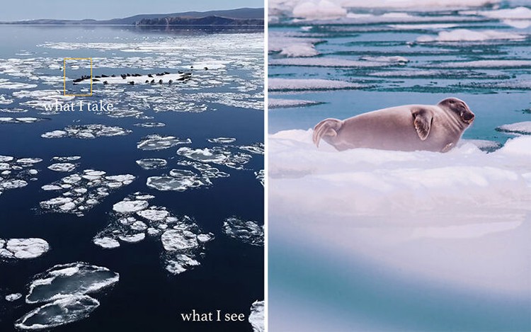 Foto What I See Vs. What I Take