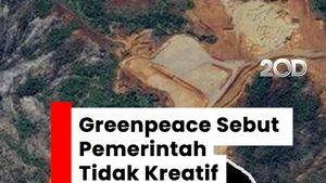 Video: Sentilan Greenpeace ke Pemerintah soal Izin Tambang di Raja Ampat