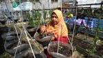 Kampung Asri, Bumi pun Berseri