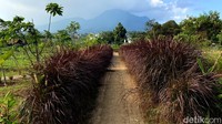 Kawasan ini cocok digunakan sebagai lokasi bermain hingga berswafoto, dengan latar pemandangan Gunung Manglayang.