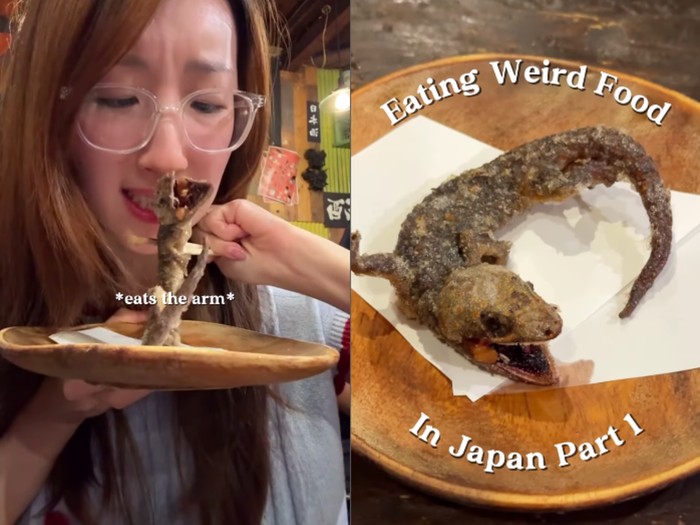 Ngeri! Konten Kreator Jepang Berani Makan Tokek Goreng Utuh