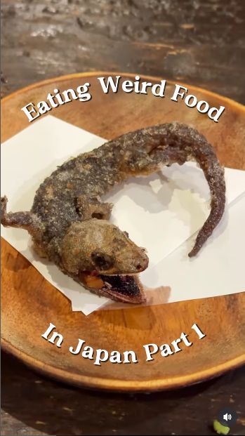 Ngeri! Konten Kreator Jepang Berani Makan Tokek Goreng Utuh