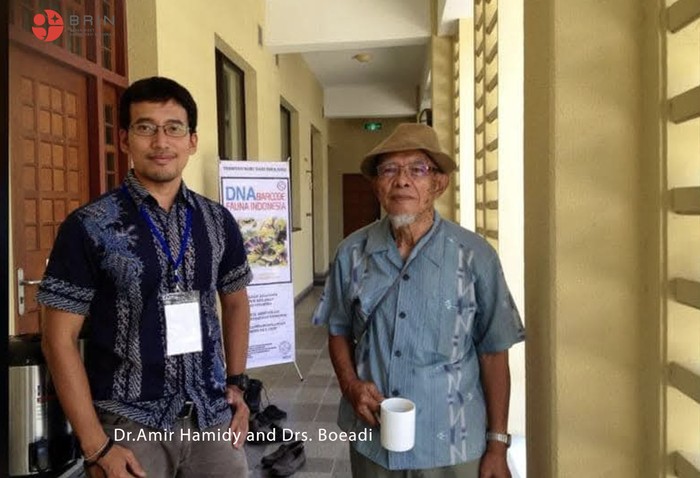 Spesies Baru Katak Pohon Endemik Sulawesi Spesies Baru Katak Pohon Endemik Sulawesi