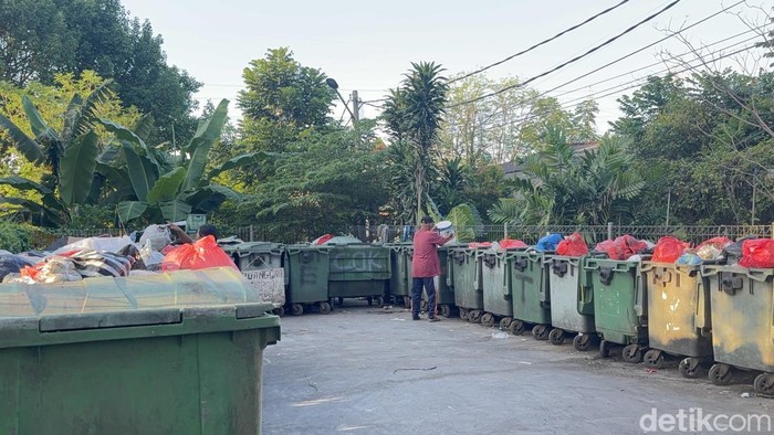 TPS di Sumurwelut, Lakarsantri, Surabaya tempat video viral tentang kucing dipungut dijadikan pakan ular.