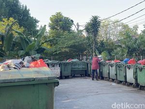 Viral Kucing di TPS Surabaya Dipunguti Buat Pakan Ular, Begini Faktanya