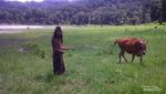 Pesona Hidden Gem Danau Tamblingan Bali