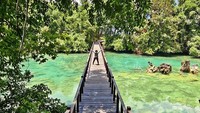 Laguna Danau Ubur ubur Kakaban.