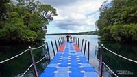 spot baru danau Ubur Ubur Kakaban