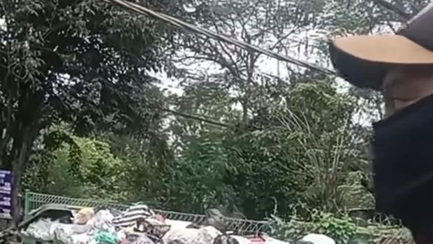 Video viral kucing dipungut dari TPS di Surabaya dijadikan pakan ular.