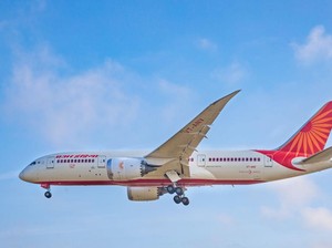 Pro Kontra Teori Tabrakan Burung Jatuhkan Boeing 787 Dreamliner