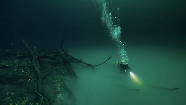 Cenote Angelita. (aguaclaradivingtulum)