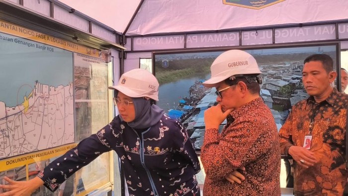 Gubernur Jakarta Pramono Anung mengecek pembangunan tanggul mitigasi rob di Muara Angke