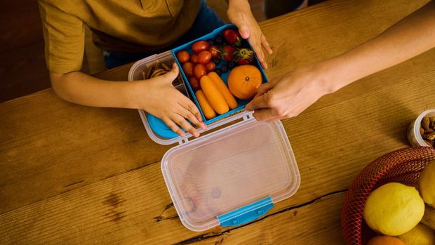 Ilustrasi kotak bekal Ilustrasi kotak bekal