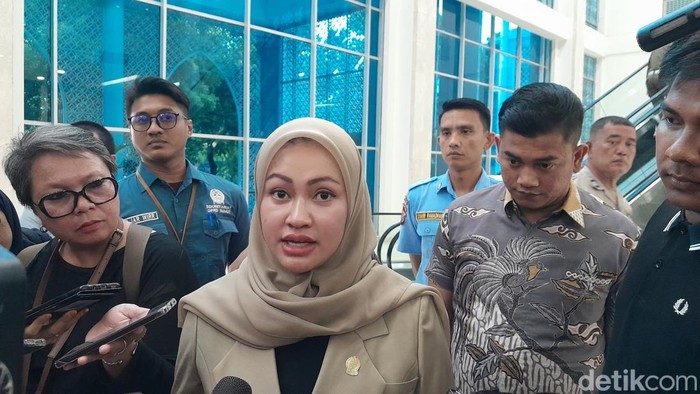 Ketua DPRD Sumut Erni Ariyanti (Nizar Aldi/detikSumut)