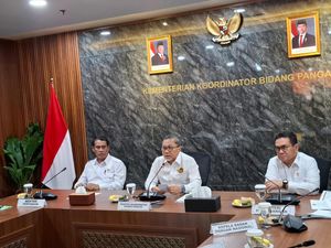 Zulhas Minta Kemenkeu Siapkan Rp 6 T buat Bulog Serap 1 Juta Ton Jagung