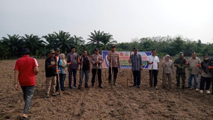 Pemerintah Desa Siberobah bersama Forkopimcam Gunung Toar dan Polsek Kuantan Mudik menanam jagung pipil untuk mendukung program swasembada pangan. (dok Polres Kuansing)