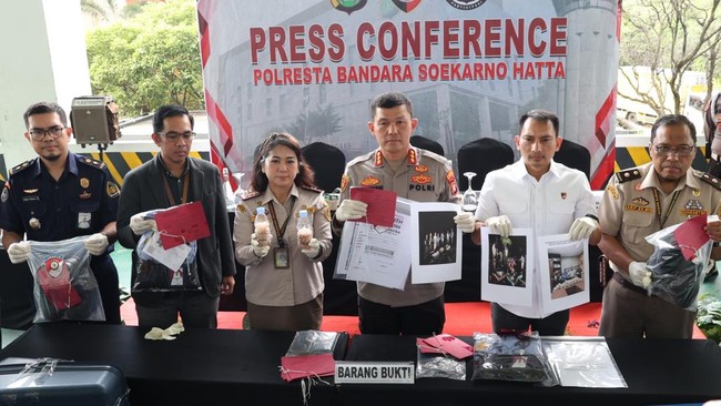 Terbongkar Penyelundupan Benih Lobster via Soetta Senilai Rp 9,2 Miliar