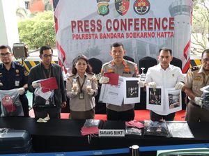 Peran 7 Tersangka Penyelundup Benih Lobster Rp 9,2 M Via Bandara Soetta