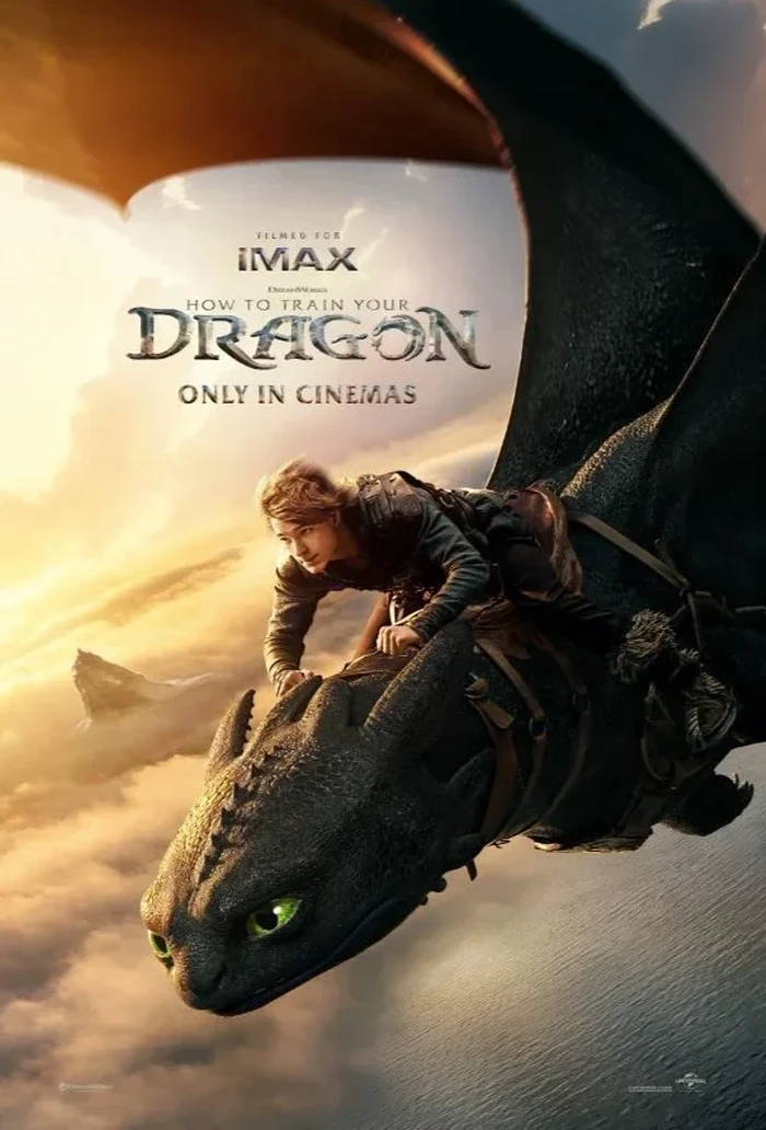 Poster Film How to Train Your Dragon.