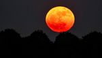 Strawberry Moon Sinari Langit Gaza hingga Eropa