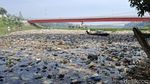 Penampakan Sungai Citarum yang Dikotori Lagi Sampah-Eceng Gondok