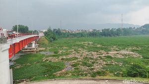 Penampakan Sungai Citarum yang Dikotori Lagi Sampah-Eceng Gondok