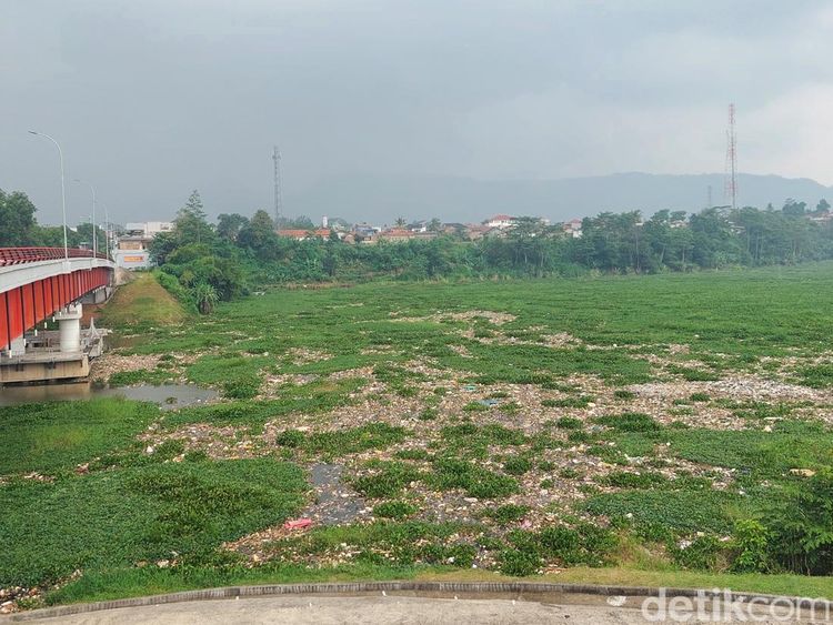 Penampakan Sungai Citarum yang Dikotori Lagi Sampah-Eceng Gondok