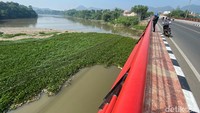 Sampah yang mengapung di permukaan cukup luas areanya. Ditambah dengan hijau hamparan eceng gondok menyerupai rerumputan membuat kumuh kawasan tersebut.