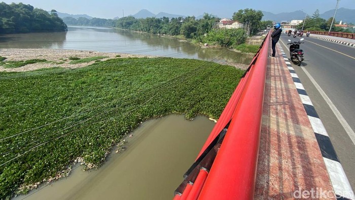 Sungai Citarum dipenuhi sampah dan eceng gondok Sungai Citarum dipenuhi sampah dan eceng gondok