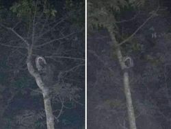 Seram! Deretan Foto Penampakan Hantu Tertangkap Kamera