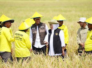 Khofifah: Produksi Padi Jatim Tertinggi, Siap Wujudkan Kedaulatan Pangan