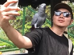 Ciamiknya Hasil Foto Huawei Nova 13 Pro, Warna Lebih Tajam