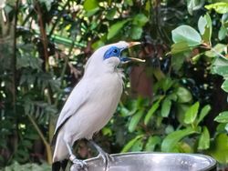 Ciamiknya Hasil Foto Huawei Nova 13 Pro, Warna Lebih Tajam