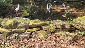 Penampakan menggunakan kamera wide. Foto: Aisyah Kamaliah/detikINET