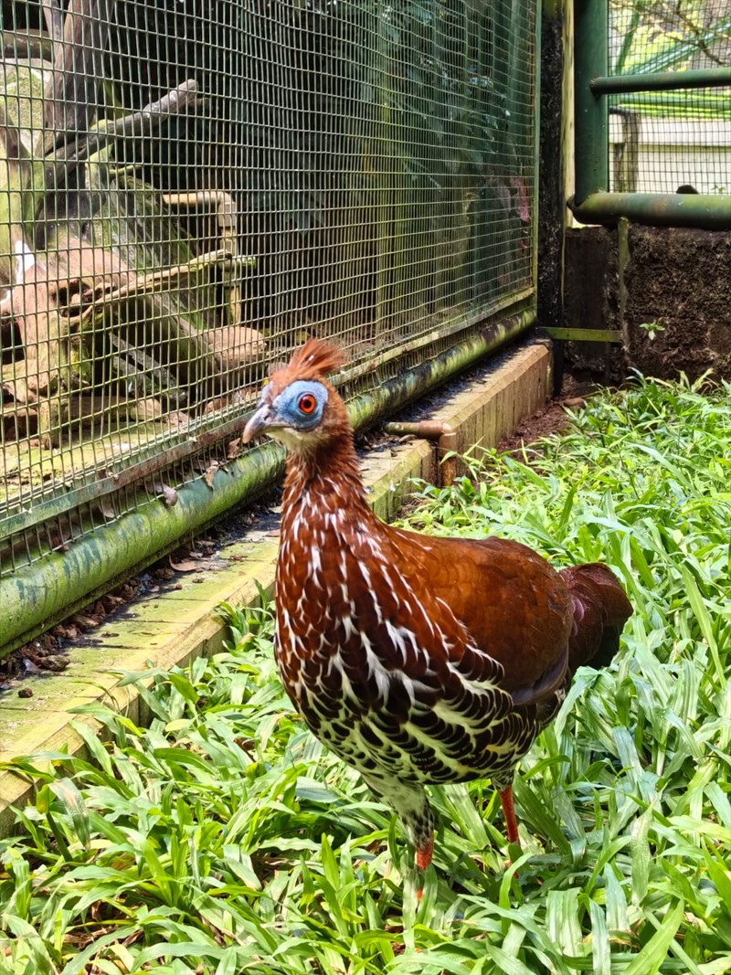 Huawei Nova 13 Pro (EMBARGO)