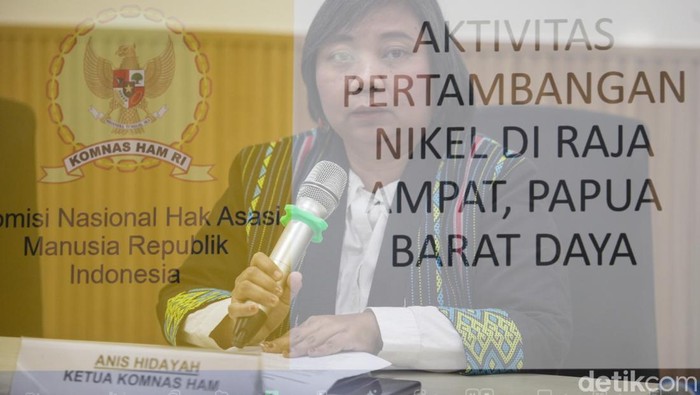 Komnas HAM Sebut Tambang Nikel Raja Ampat Langgar HAM Komnas HAM menyebut pertambangan nikel di Raja Ampat, Papua Barat Daya, melanggar HAM karena kerusakan lingkungan. Komnas HAM akan terjun ke lokasi.