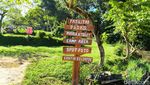 Menikmati Keindahan Gunung Ciremai Sambil Berkemah
