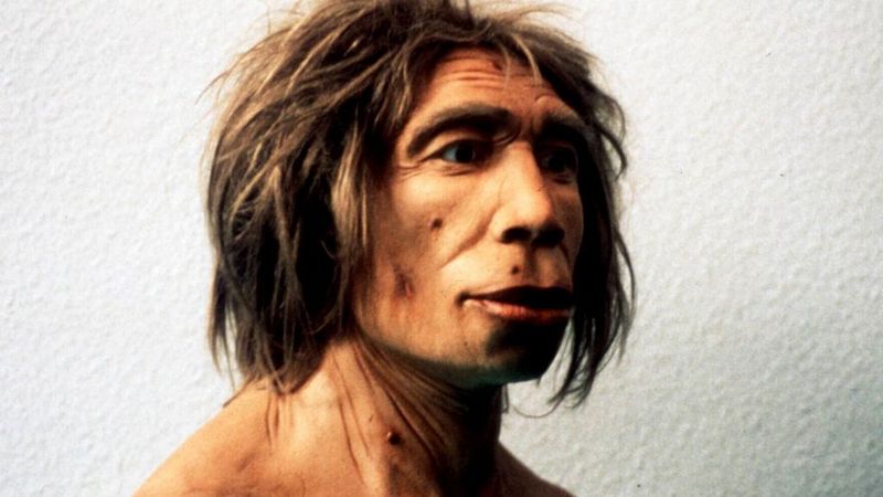 Manusia purba