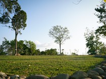 Parapuar Labuan Bajo Hadirkan Wisata Meditasi di Tengah Hutan, Ini Jadwalnya