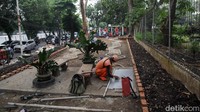Petugas Prasarana dan Sarana Umum (PPSU) Kelurahan Ragunan menata taman di depan RSUD Pasar Minggu, Jakarta, Jumat (13/6/2025).