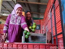 Kisah Lilik dan Seger Jalankan Bisnis Buah di Tengah Ketidakpastian