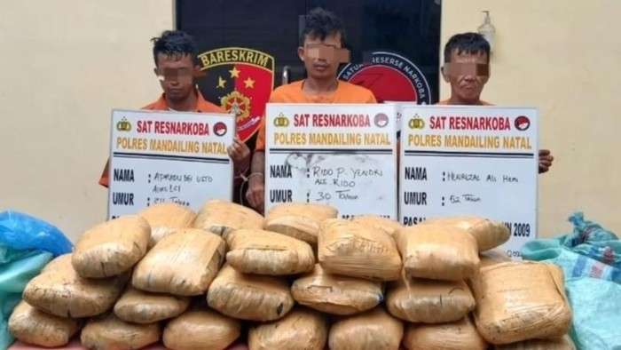 Tiga kurir yang ditangkap saat hendak jemput ganja. (Dok. Polres Madina)