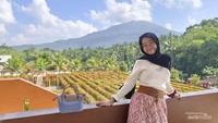 Spot poto dengan latar belakang Labirin